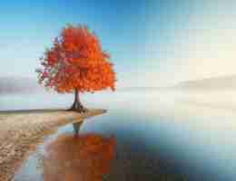 识﻿别﻿热‌量﻿的‍app